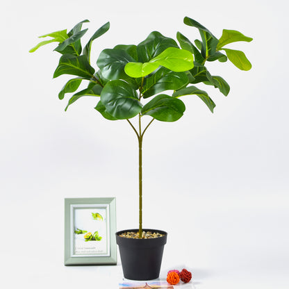 Toysnug Green Plants For Home Decoration