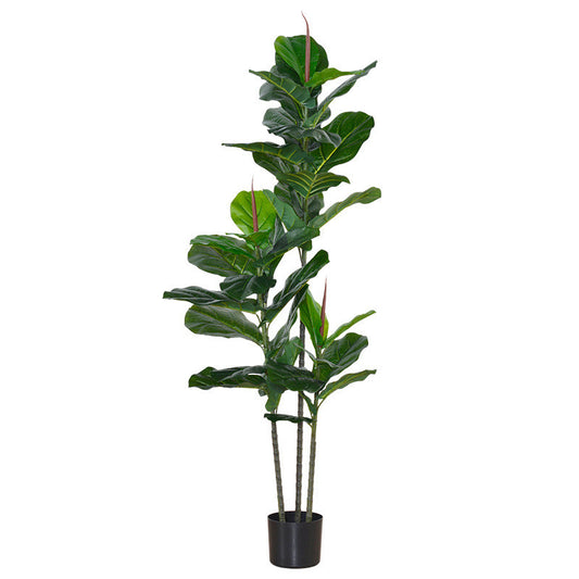 Toysnug Living Room Decoration With Different Green Potted Plants