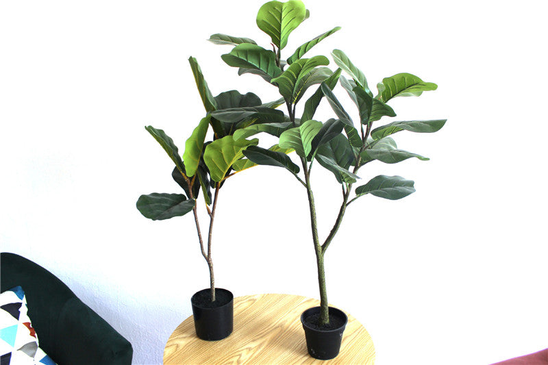 Toysnug Living Room Decoration With Different Green Potted Plants