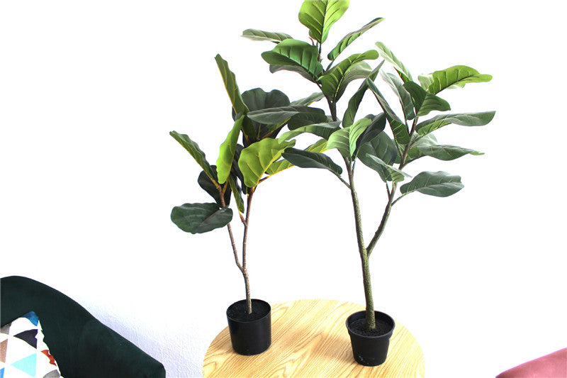 Toysnug Living Room Decoration With Different Green Potted Plants