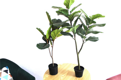 Toysnug Living Room Decoration With Different Green Potted Plants