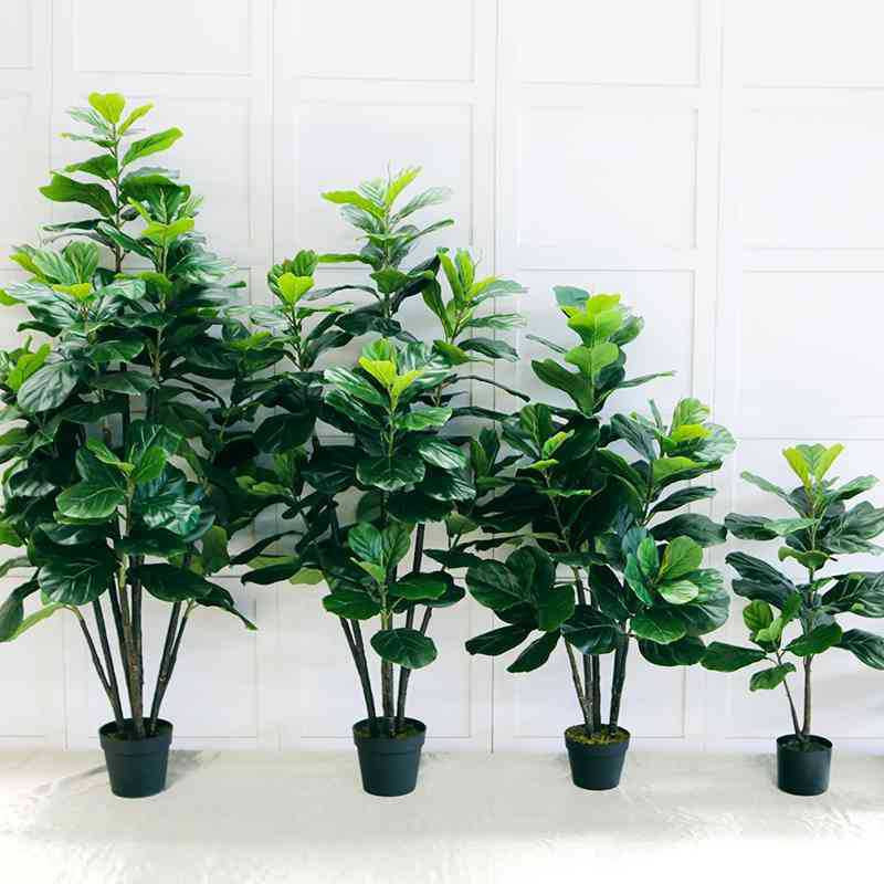Toysnug Living Room Decoration With Different Green Potted Plants