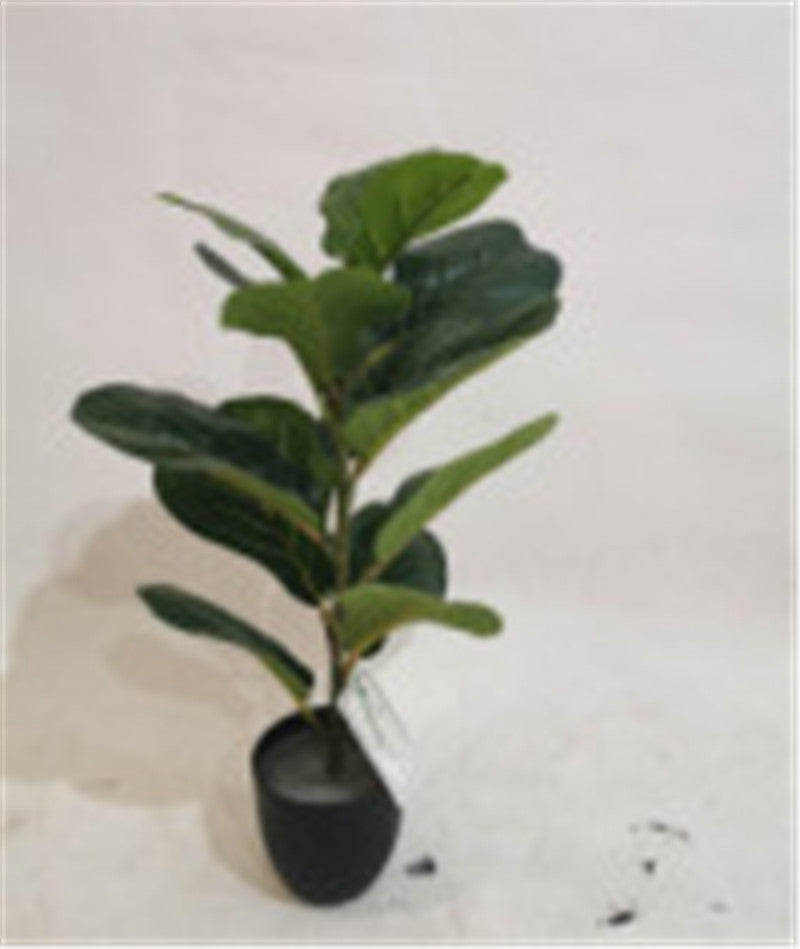 Toysnug Living Room Decoration With Different Green Potted Plants