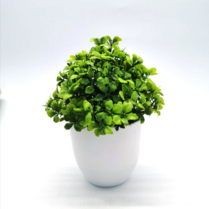 Toysnug Source Simulation Plant Potted Plants