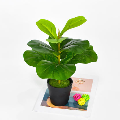 Toysnug Green Plants For Home Decoration