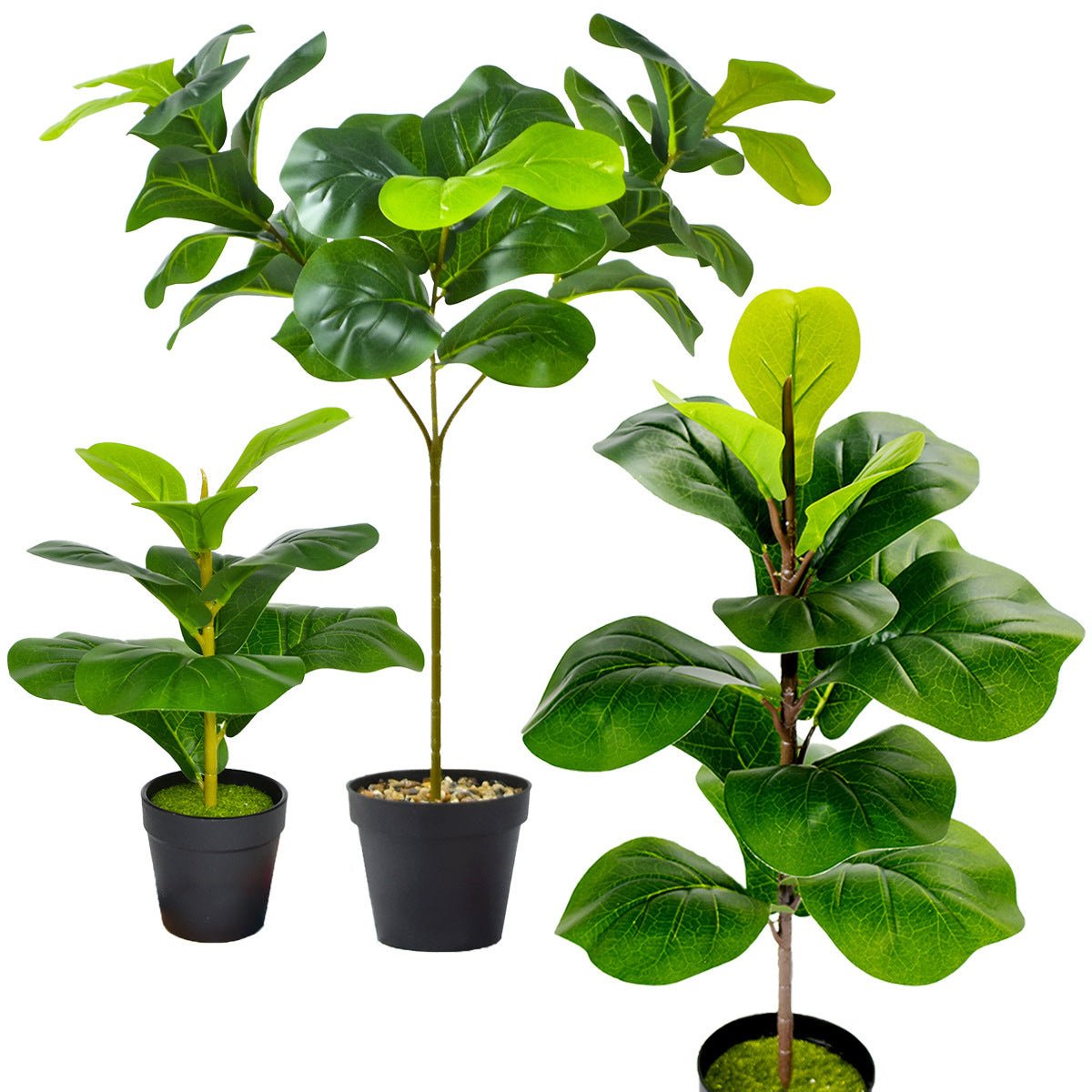 Toysnug Green Plants For Home Decoration