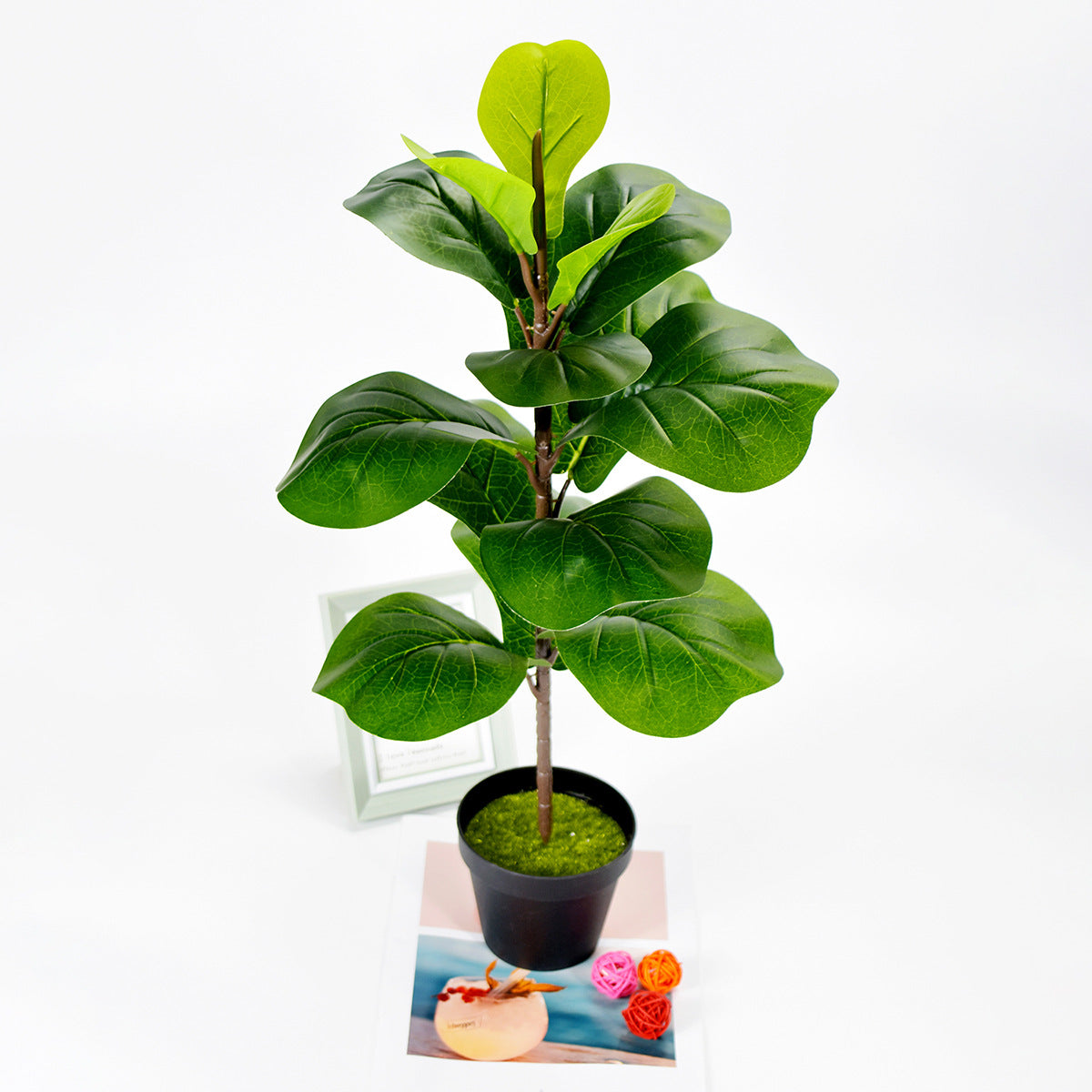 Toysnug Green Plants For Home Decoration